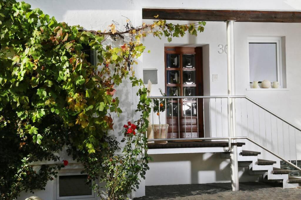 Wunderschönes Haus im Herzen d. Nationalpark Eifel Schleiden Exterior foto